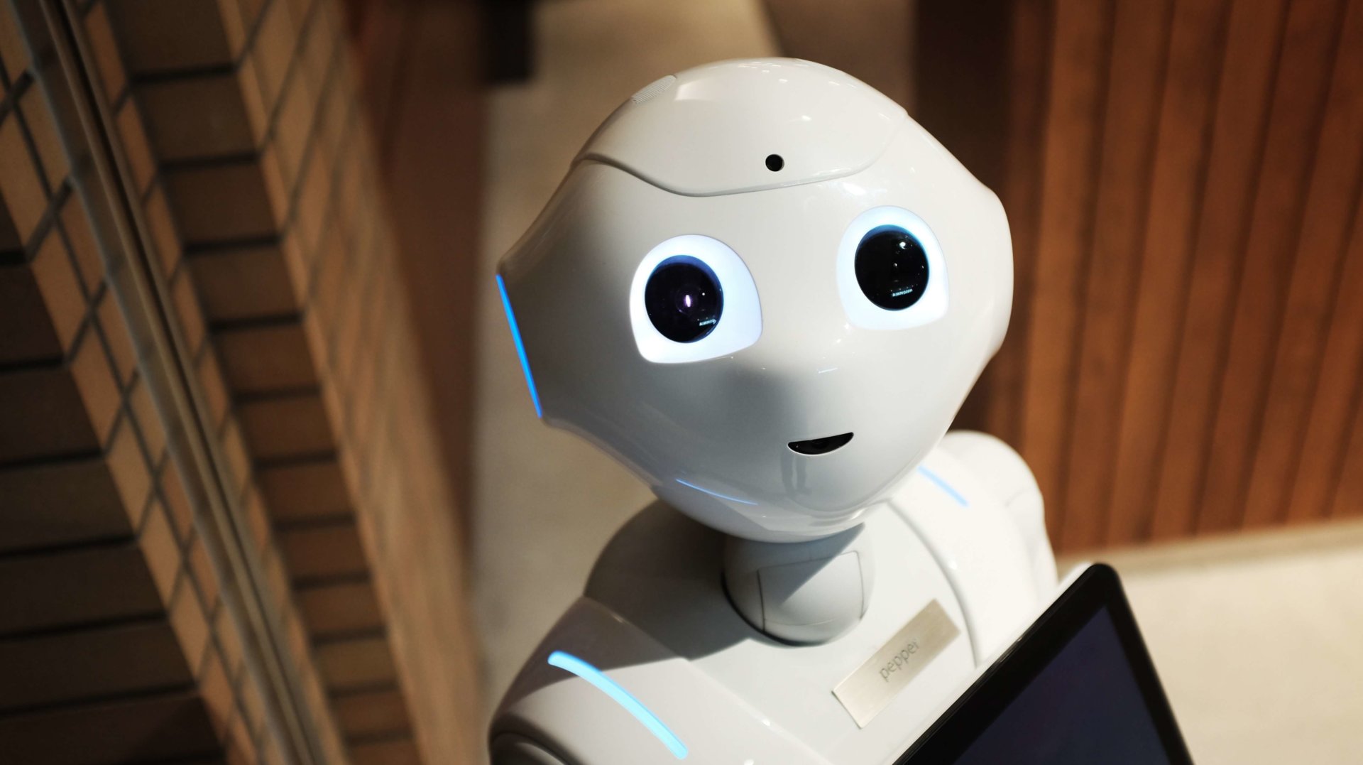 Getting familiar with chatbots