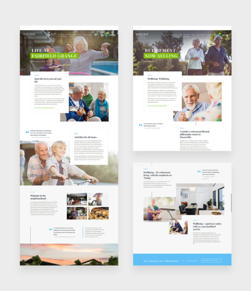 screenshots of the carinity website